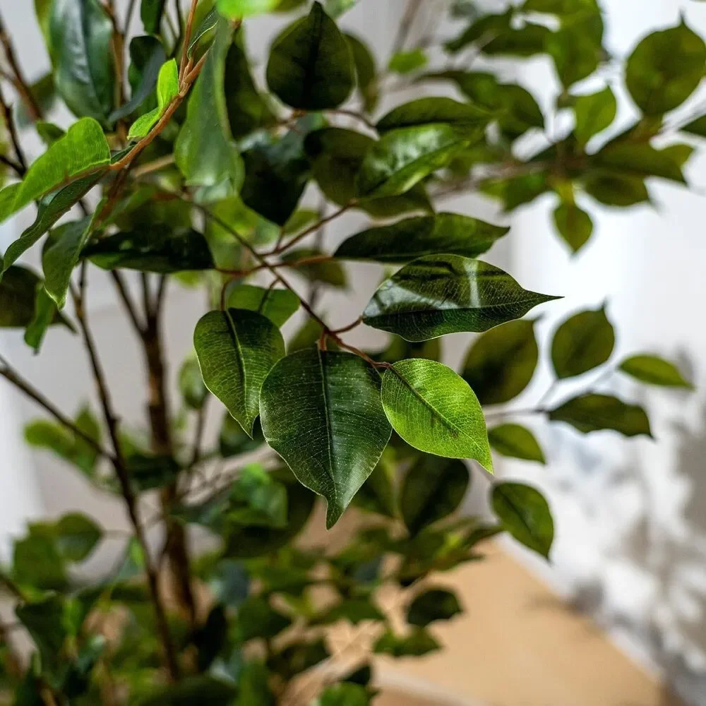 Bailikang Artificial Ficus Tree 5FT Large Faux Potted Plant Indoor New Box